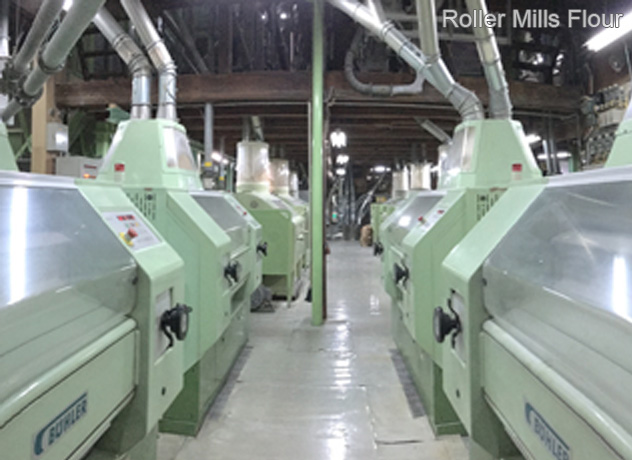 Roller Mills