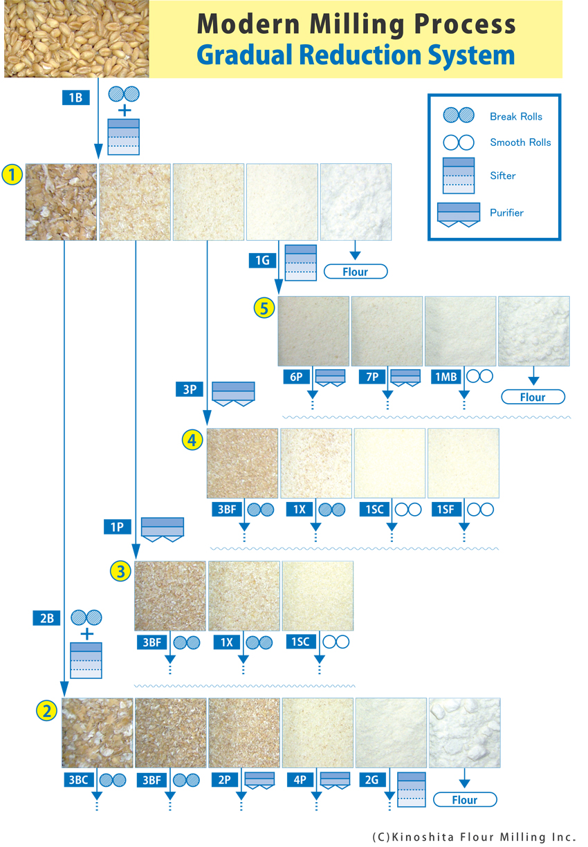 The idea a of gradual reduction system