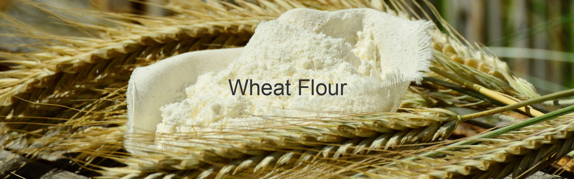 Wheat Flour