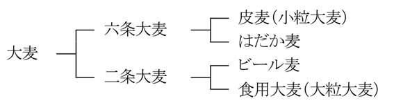 小麦と大麦 木下製粉株式会社