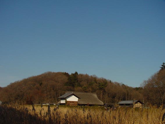 ①都立公園野山北・六道山公園の里山での一枚。 