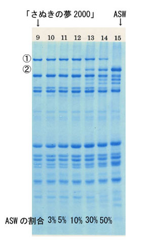 「さぬきの夢2000」にだんだんとASWを混入させたもの