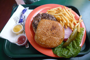 美味しいけれど高カロリーのハンバーガー