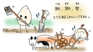 石器時代　木化石　鋤（すき、スコップ）？　L96-1 2億4800万年前の古代木化石！ジャスパー化した、艶やかな